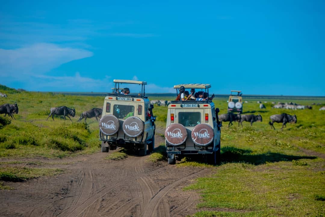 Tanzania Wildlife Safari Vehicle